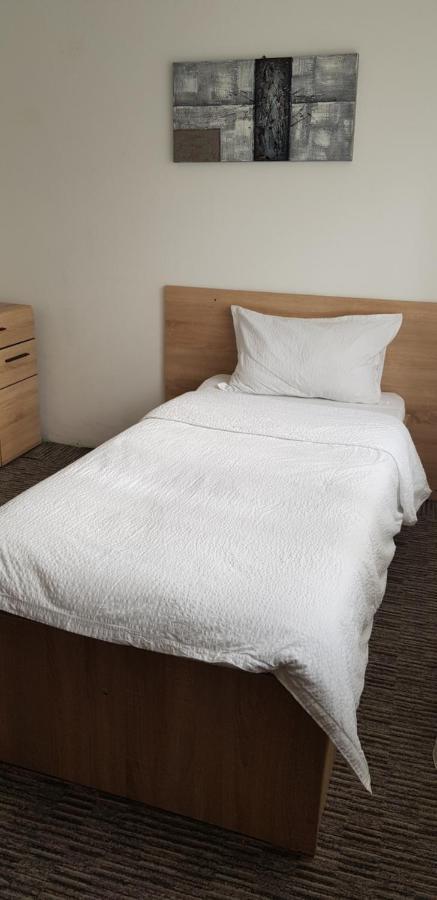 Casa Zorilor Clujアパートメント エクステリア 写真