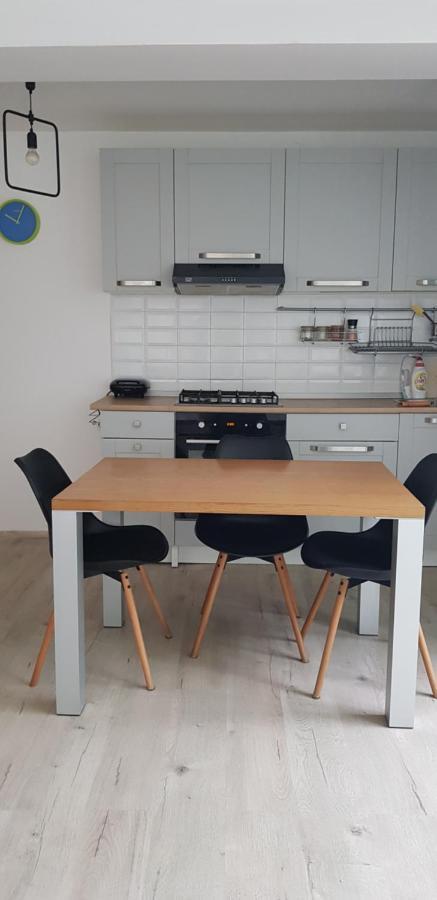 Casa Zorilor Clujアパートメント エクステリア 写真